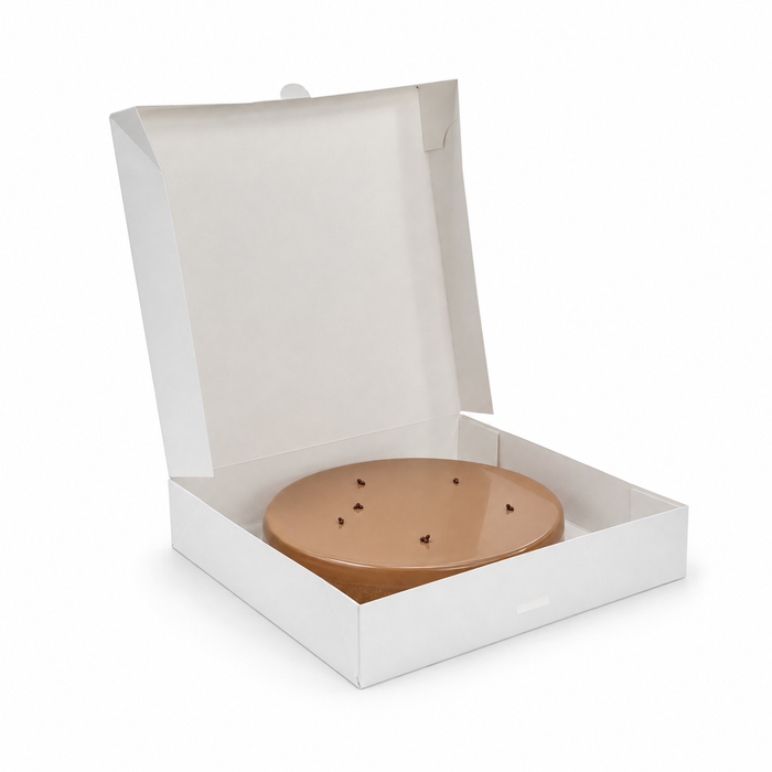 Scatola da pasticceria in cartone bianco - 26 cm x 26 cm x 5 cm - 50 pezzi