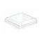 Coperchio in plastica per piattino fingerfood Taiti (PET1) - 4,6 cm x 4,6 cm x 1 cm - 200 pezzi