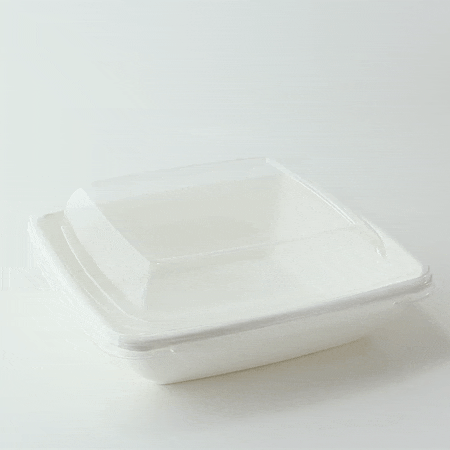 Insalatiera quadrata in polpa di canna da zucchero 195x195mm H45mm 750ml