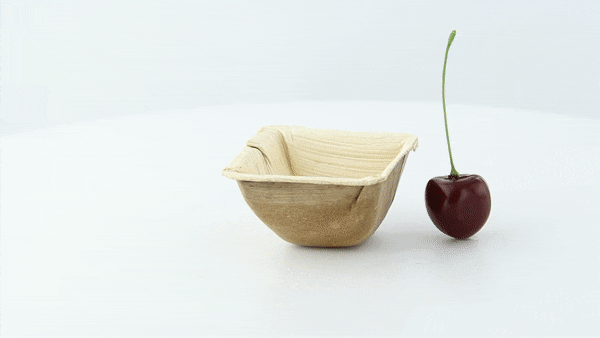Coppetta quadrata in palma 63x63mm H33mm 35ml