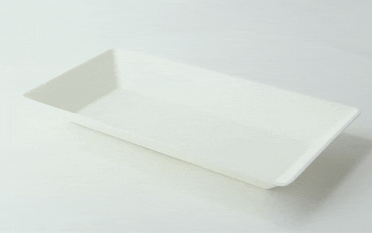 Piatto "EcoDesign" in polpa di canna da zucchero  260x130mm H28mm 500ml