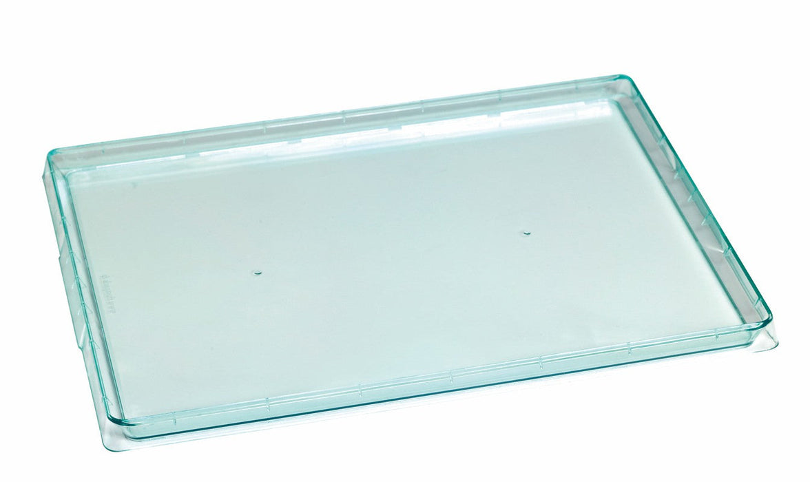 Bandeja Klarity verde transparente 380x274mm A18mm - 25Uds